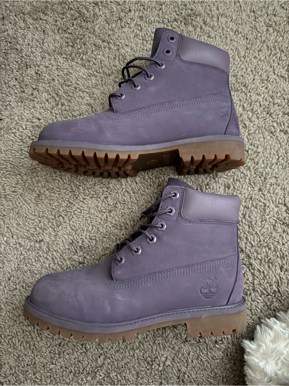 Timberland Purple Premium Boots